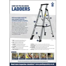 Ladder Poster - Visual Inspection Checklist