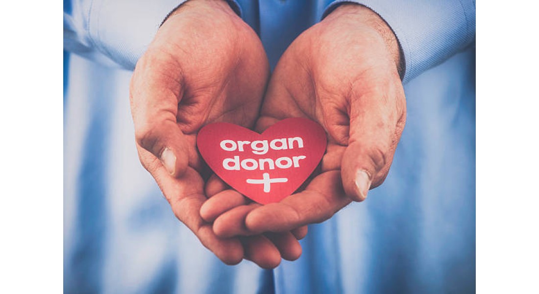 https://www.goodtogosafety.co.uk/image/cache/catalog/Blog/Organ%20Donor-1100x600.jpg https://www.goodtogosafety.co.uk/image/cache/catalog/Blog/Organ%20Donor-1100x600.jpg