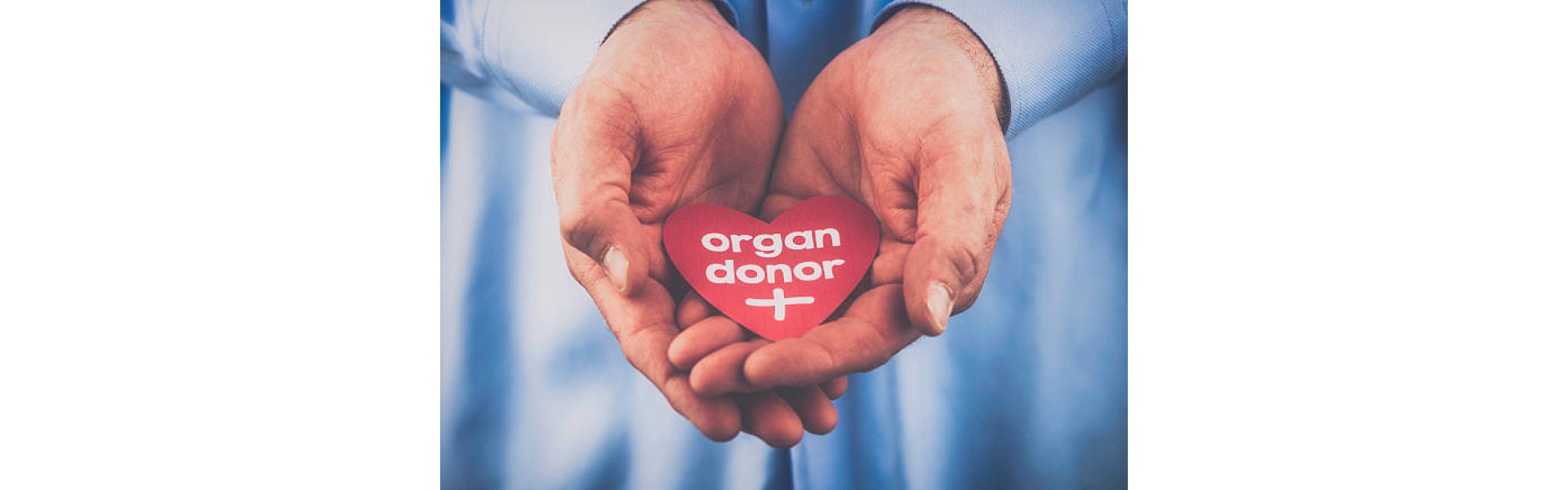 https://www.goodtogosafety.co.uk/image/cache/catalog/Blog/Organ%20Donor-1920x600.jpg