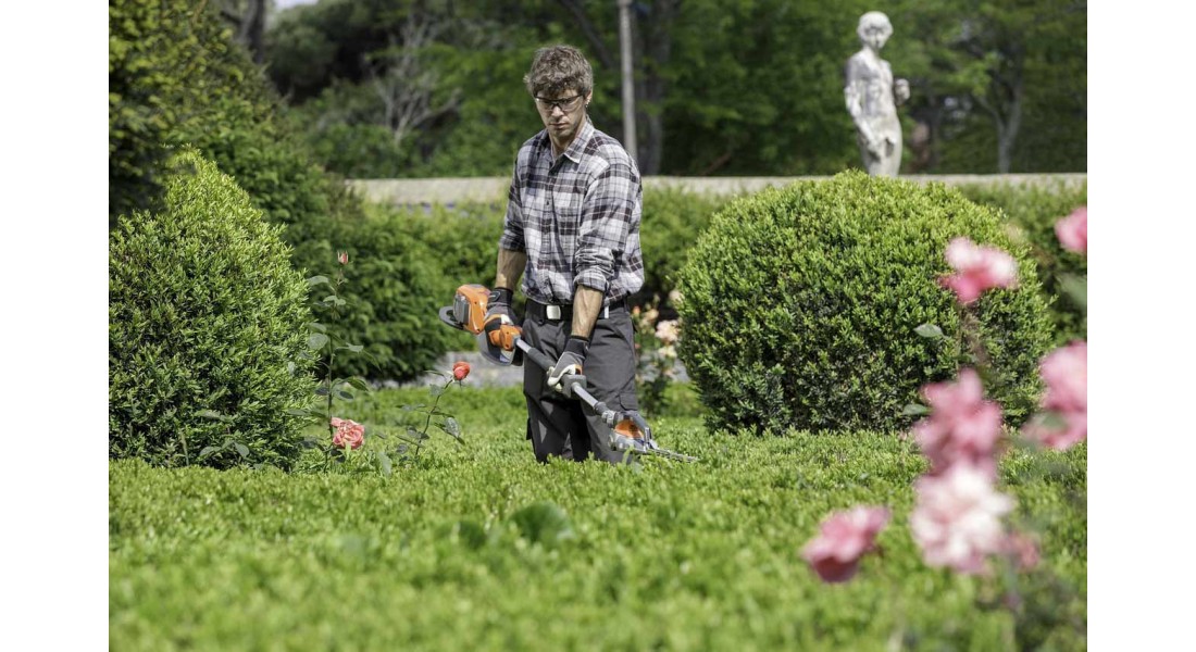 https://www.goodtogosafety.co.uk/image/cache/catalog/Blog/hedge-trimming-1100x600.jpg