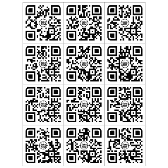 QR Code - 12 x Square 